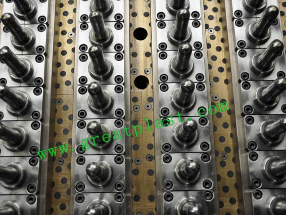 PET hot runner preform mold